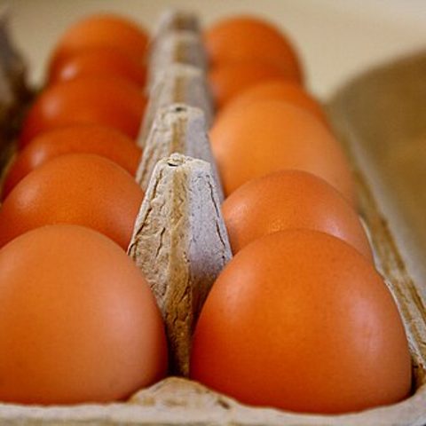 Telur Ayam